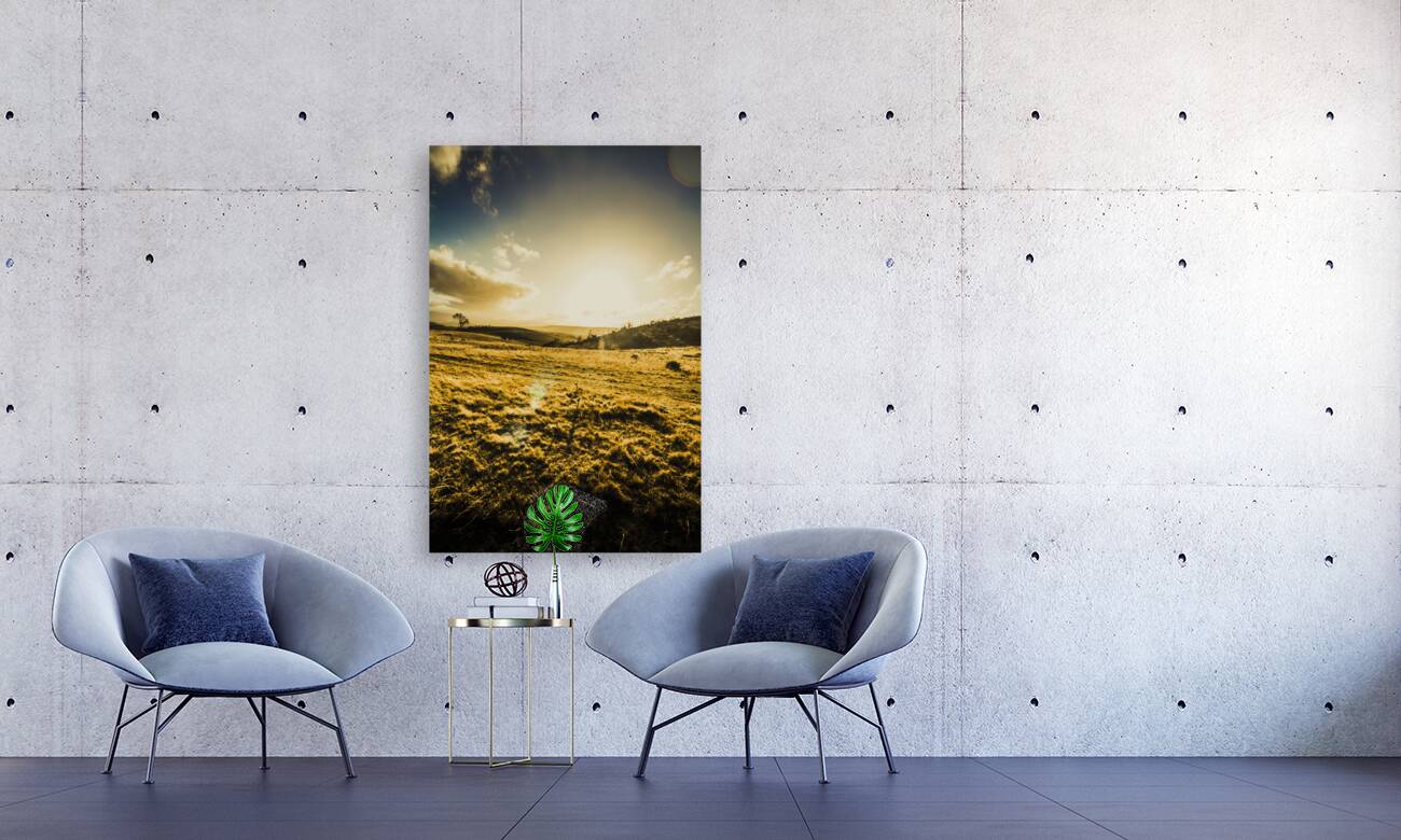 Sunburnt summer plain Reproduction