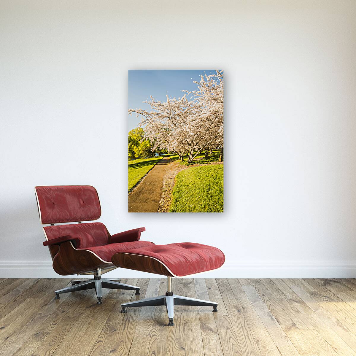 Cherry blossom lane Reproduction