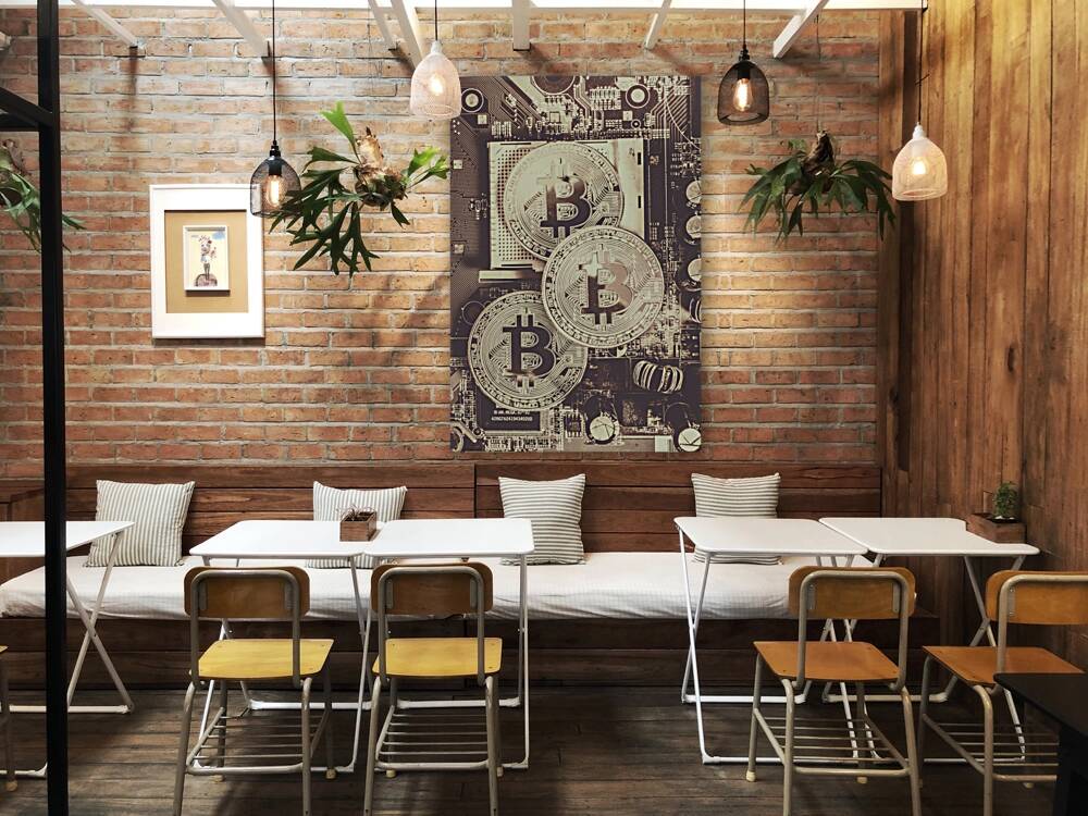 Blocks of Bitcoin Reproduction