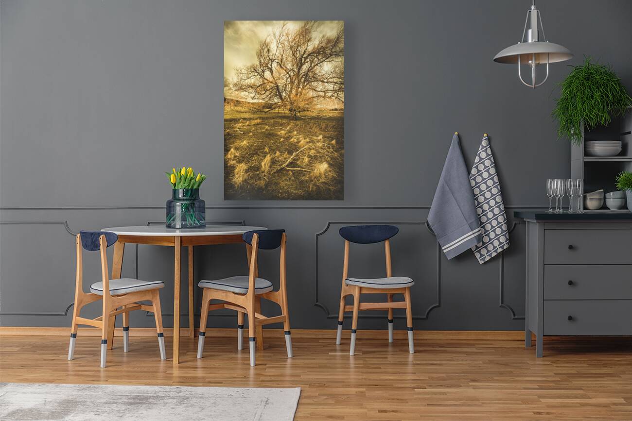 Dead tree in seasons bare Reproduction