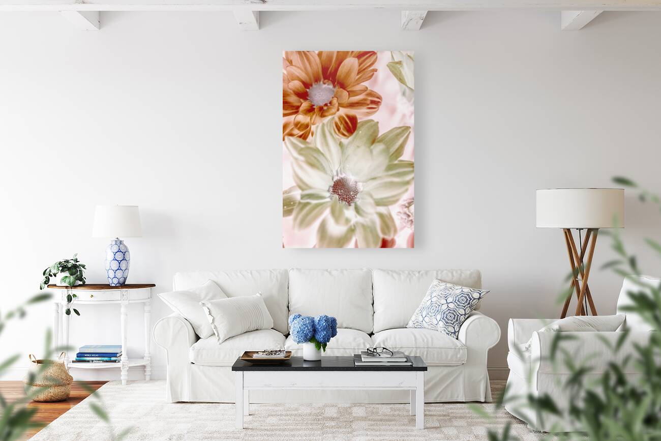 Chrysanthemum creativity Reproduction