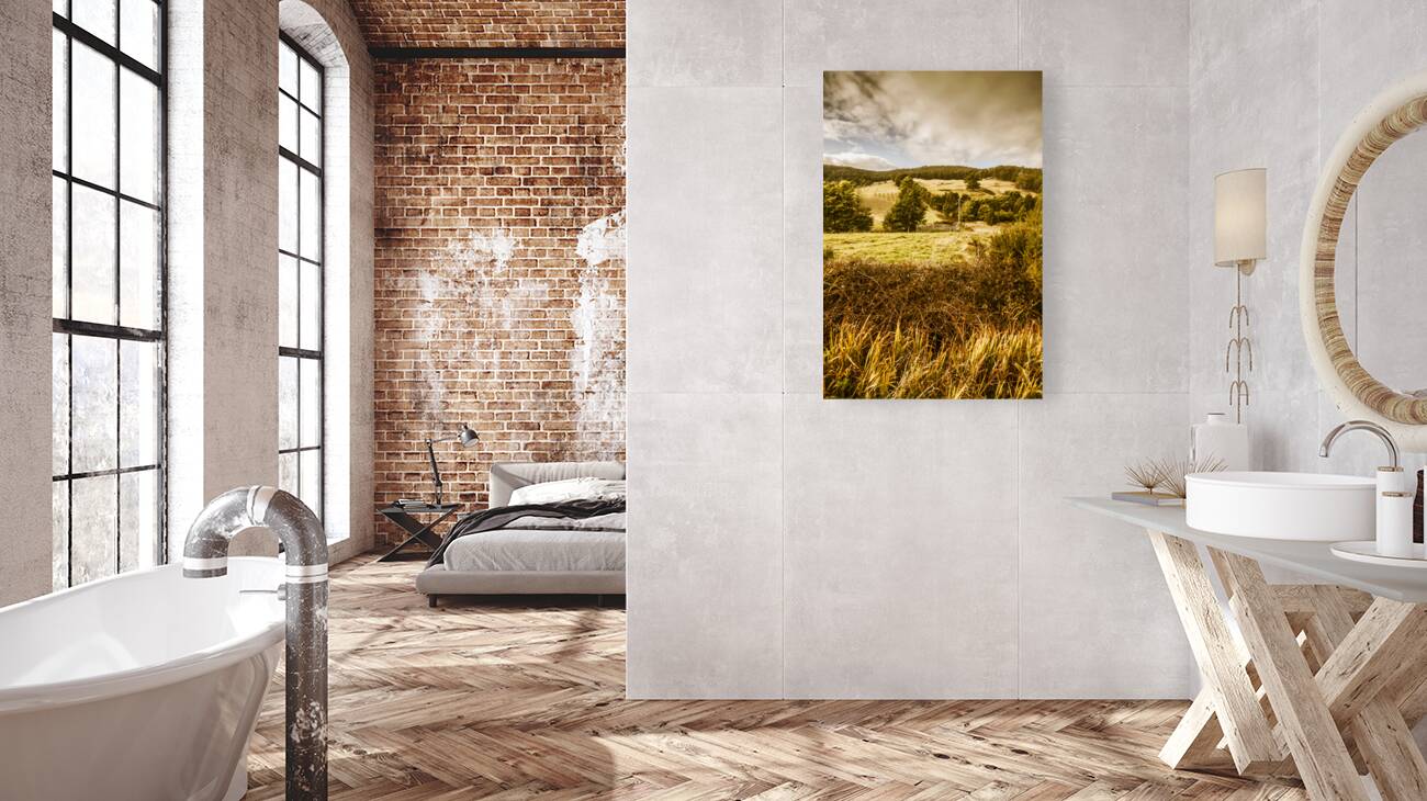 Cygnet rustic farming fields Reproduction