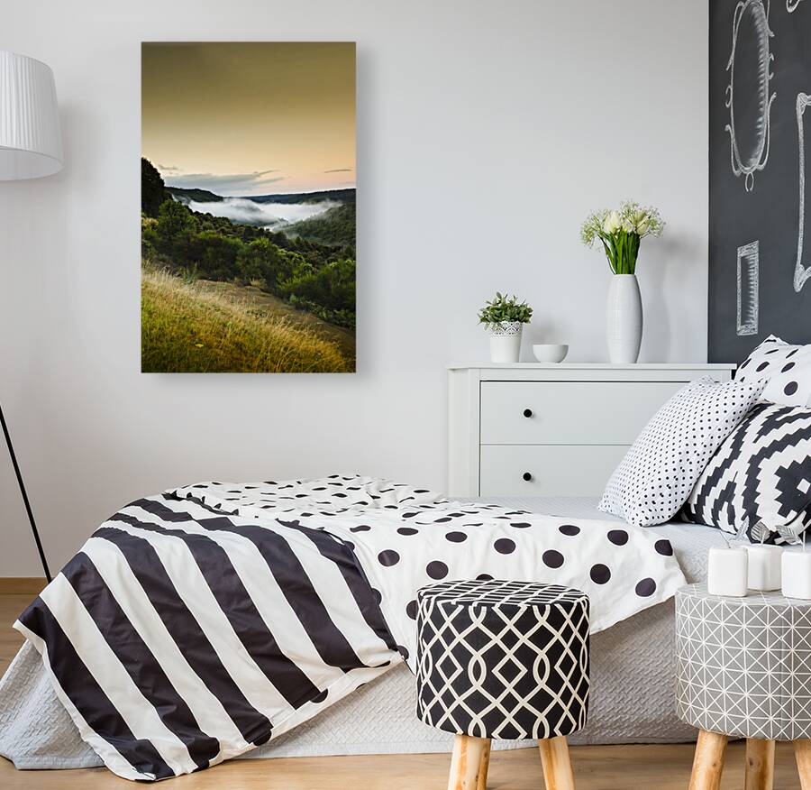 Waratah morning landscape of Mount Bischoff Valley Reproduction