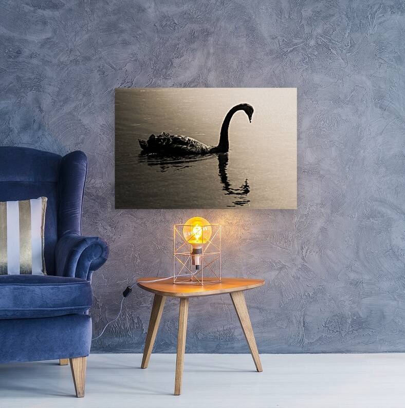 Silhouetted Reproduction