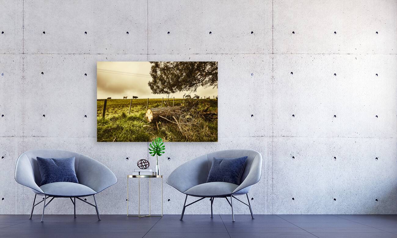 Tasmanian Country Farm Details Reproduction