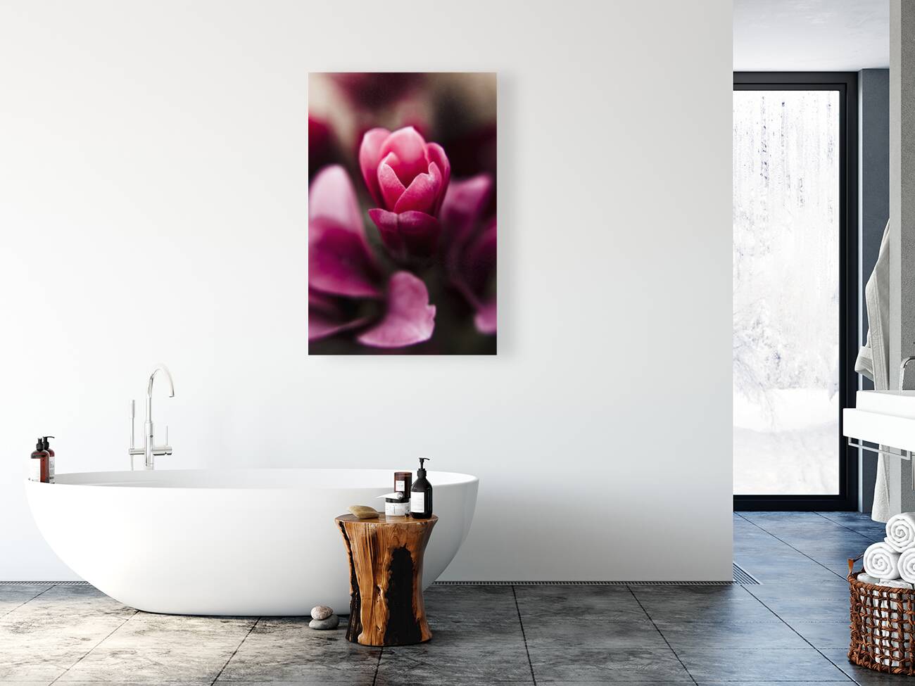 Sparaxis Grandiflora flower macro Reproduction