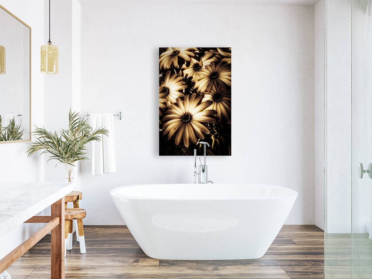 Cape daisy darkness Reproduction