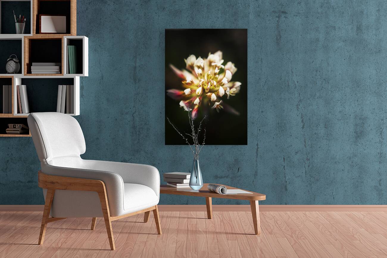 Wild darkness Reproduction