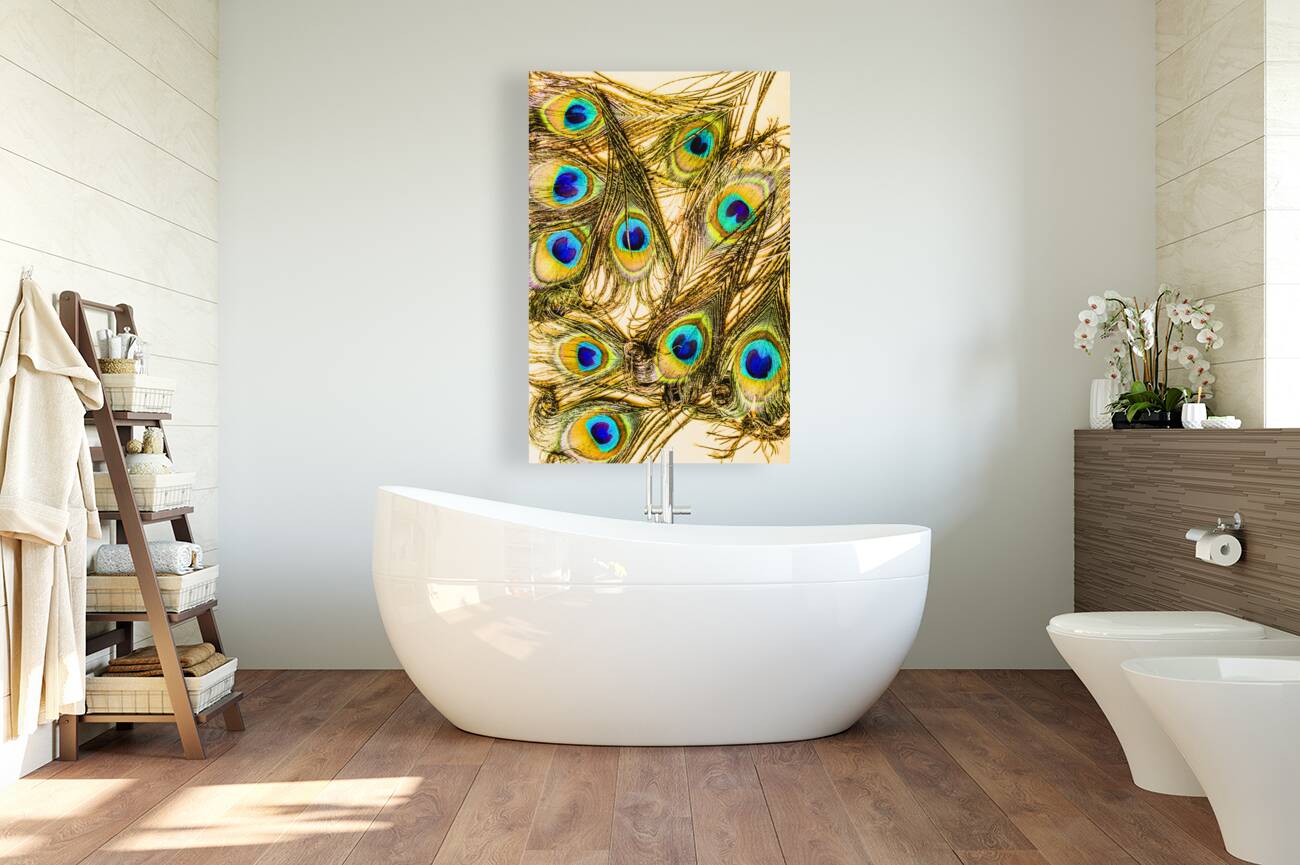 Peacock feathers still life Reproduction