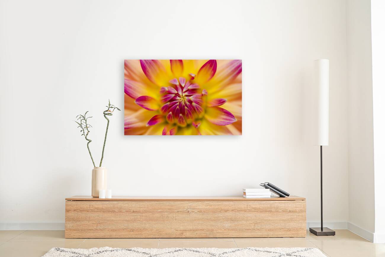 Beautiful colourful flower macro. Spring beauty Reproduction