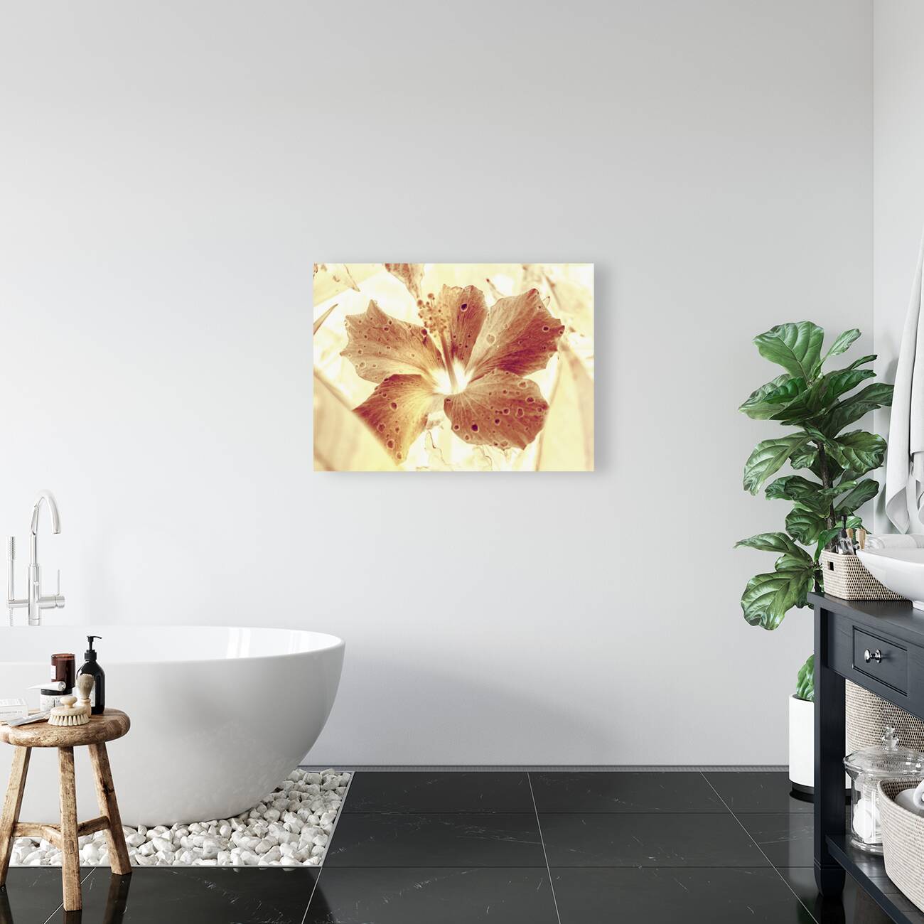 Hi-biscus Reproduction