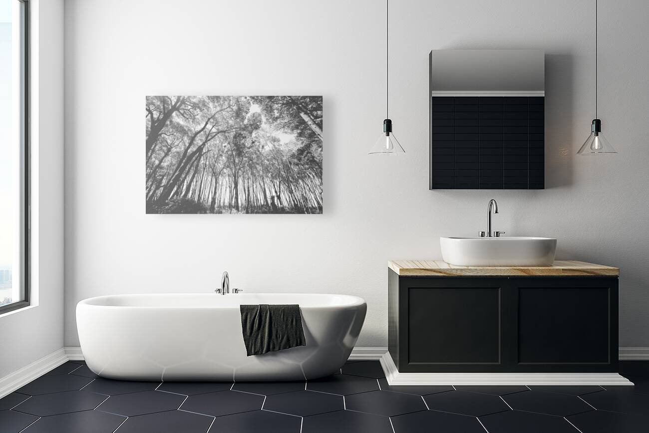 Parallels Reproduction