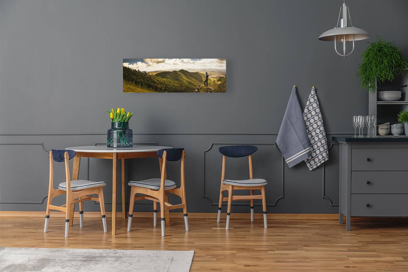 View from halfway up Mount Zeehan Reproduction