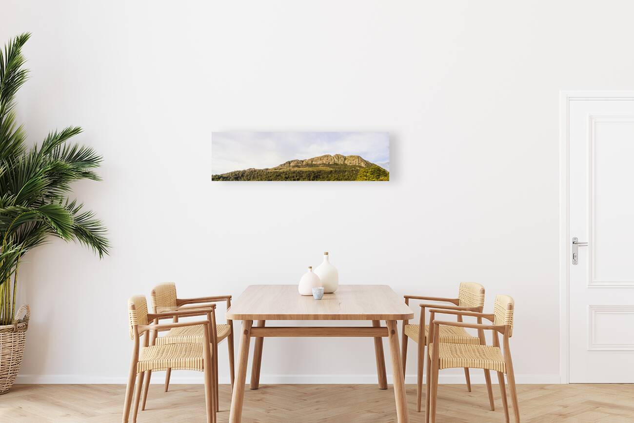 Mount Farrell Regional Reserve in Western Tasmania Reproduction