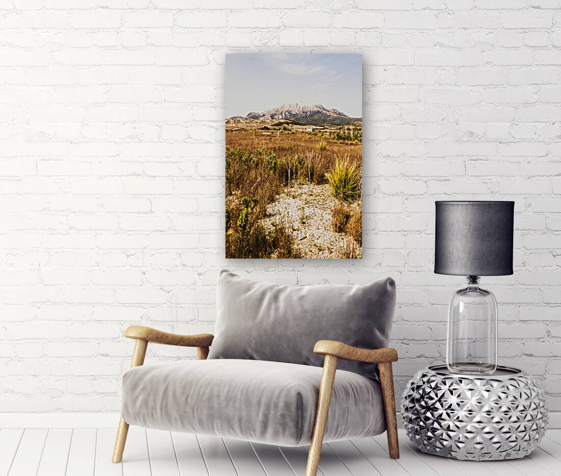 Rugged Australian bushland Reproduction