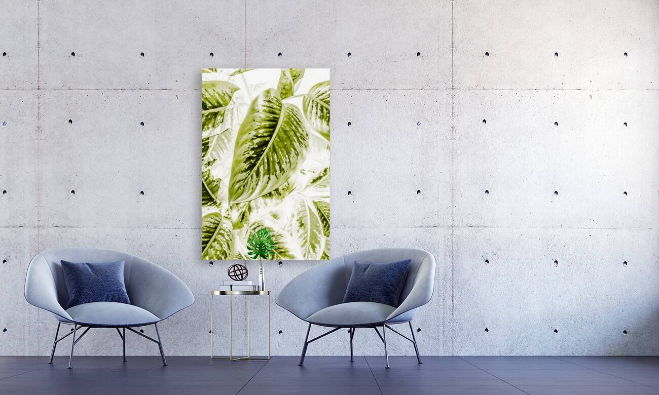 Jungle greens Reproduction