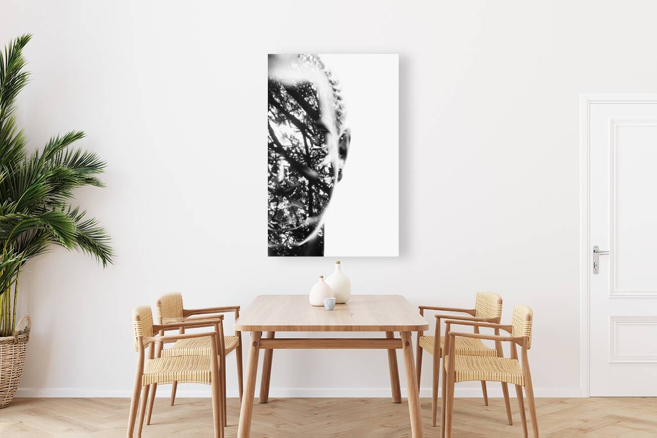 In Vision Reproduction