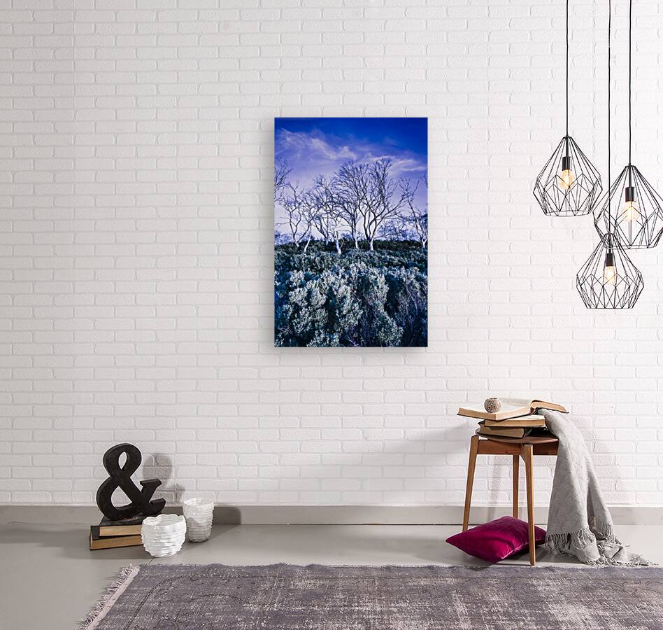 Halloween woodland Reproduction