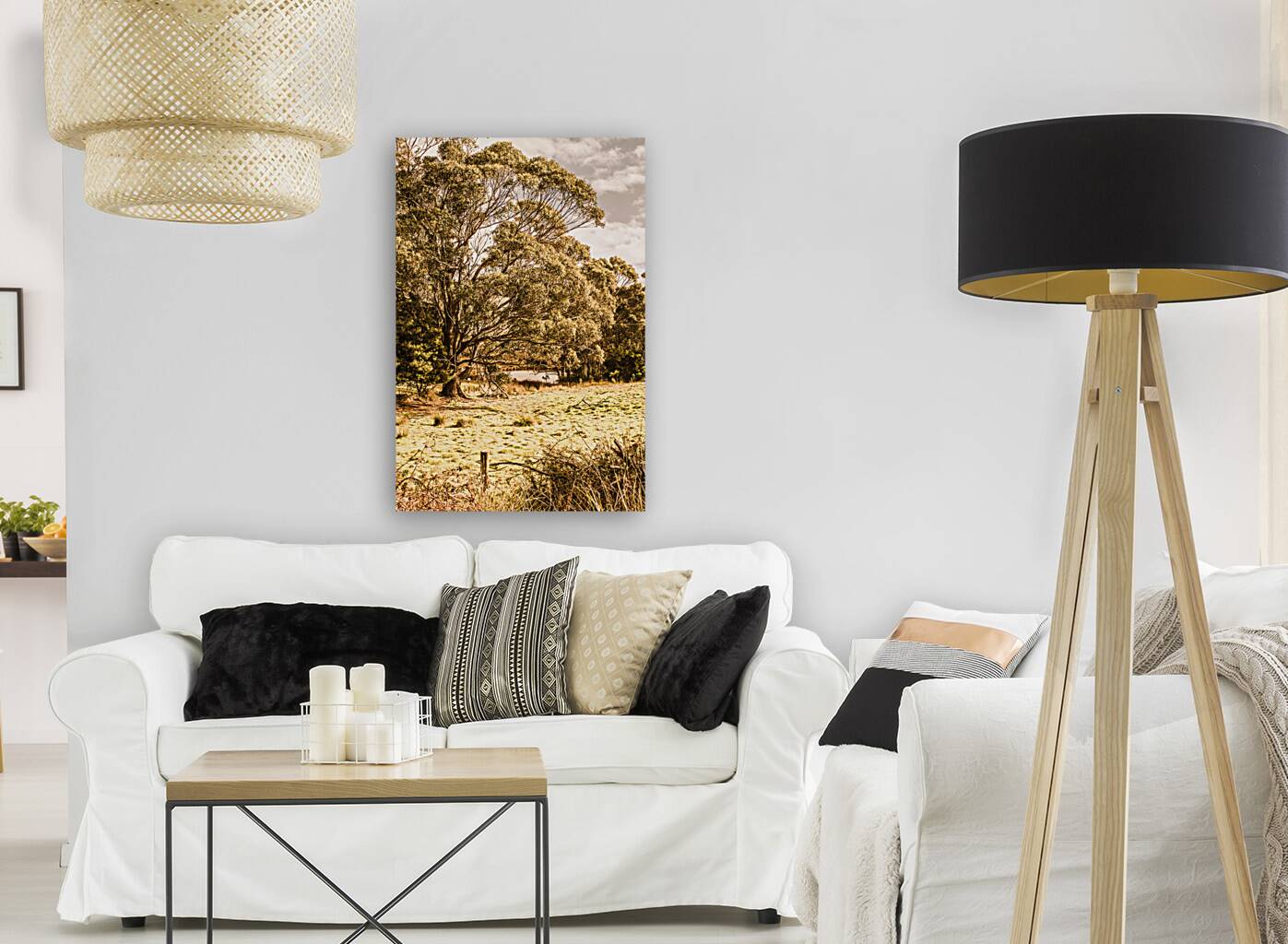 Vivid tree in a outback Australia Reproduction