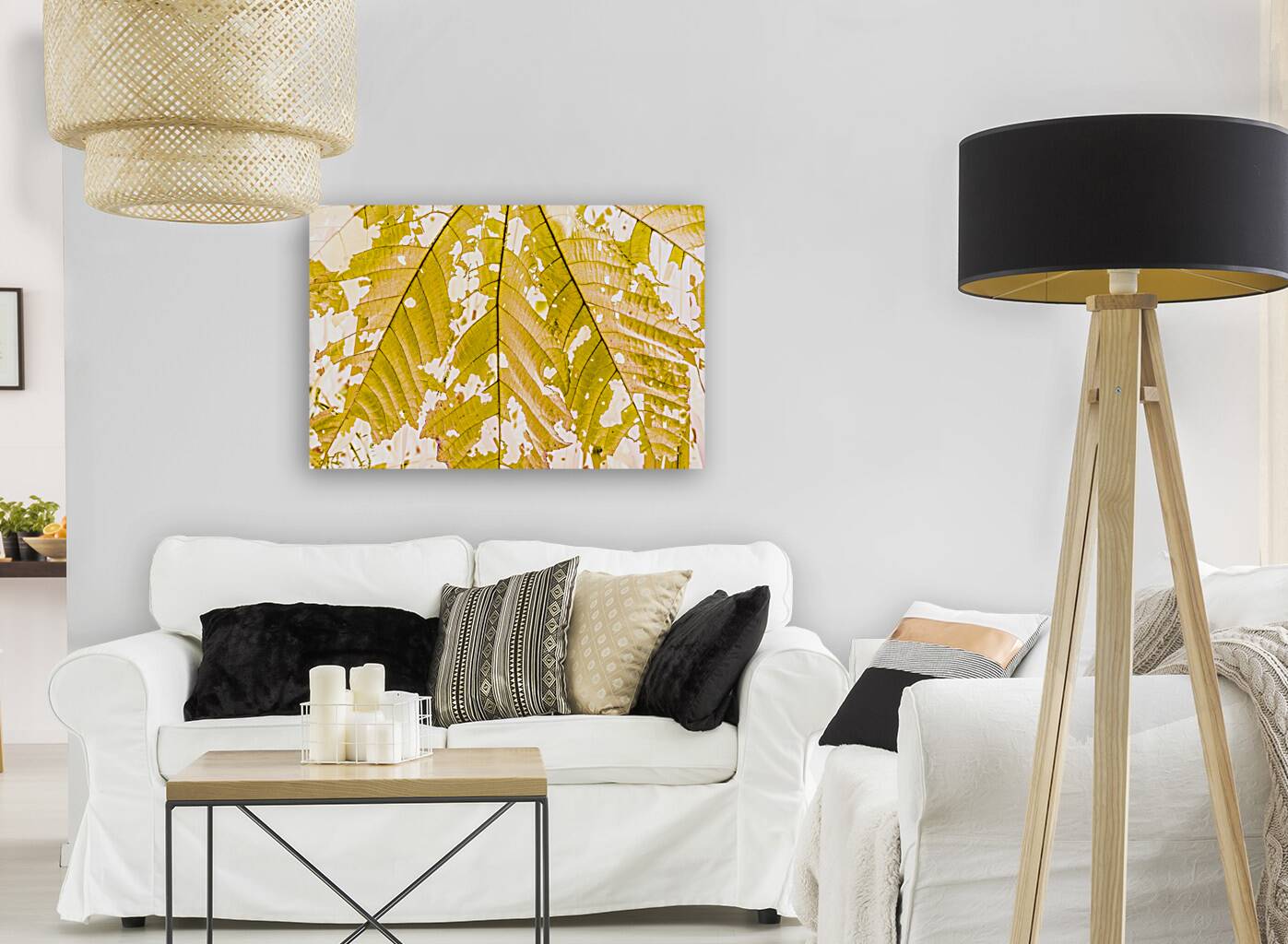 In fall Reproduction