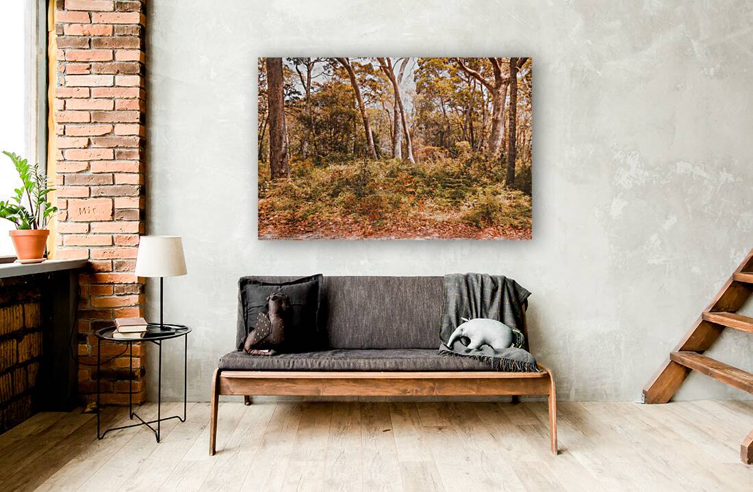 Falls Undergrowth  Reproduction