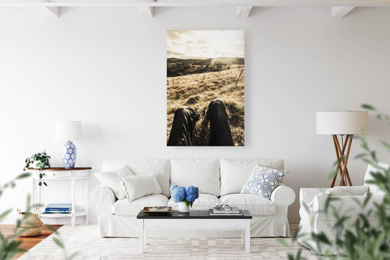 Australian adventurer on rural holiday Reproduction