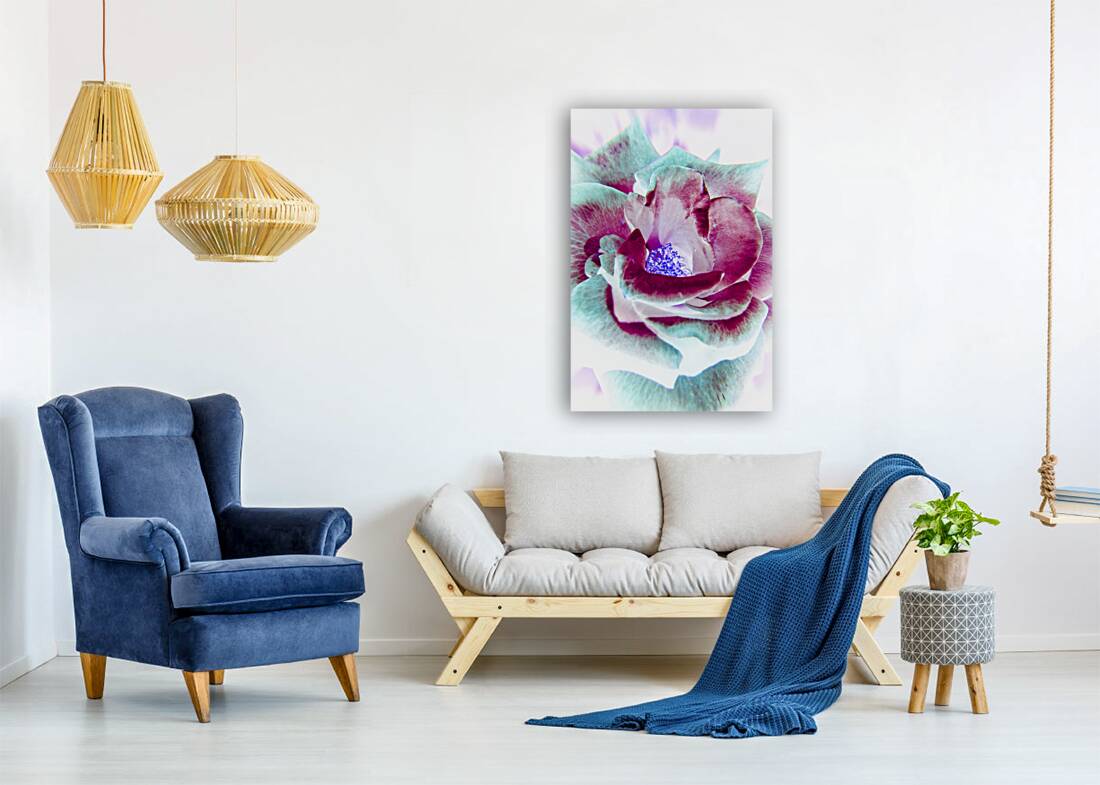 Wild exotics Reproduction