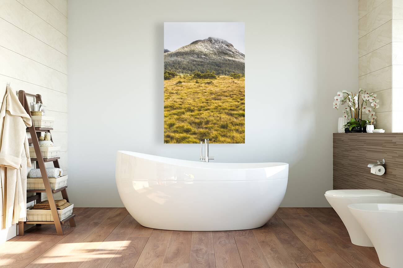 Peaks and plateaus Reproduction