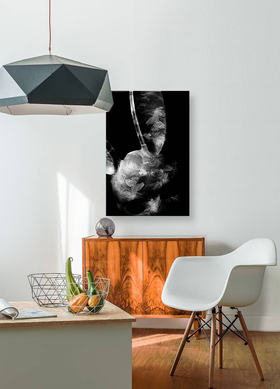 The rabbit hole Reproduction