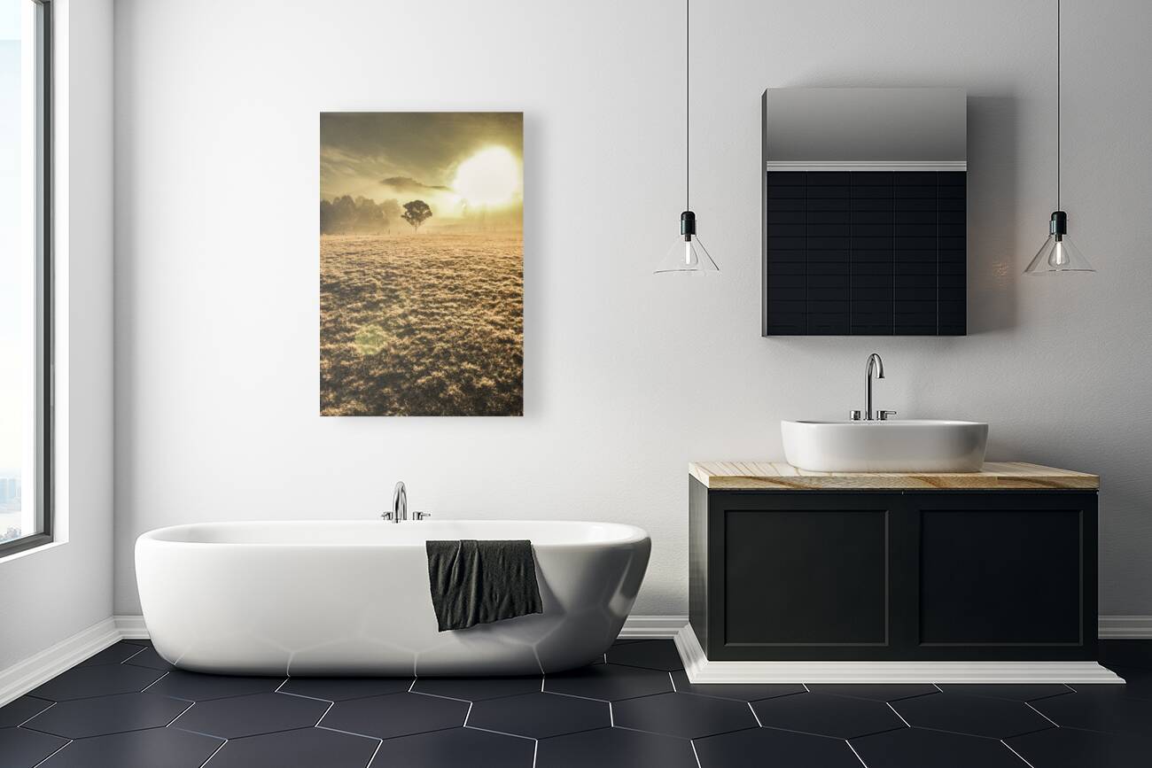 Plain morning Reproduction