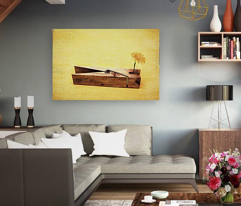 Clothespins and dandelions Reproduction