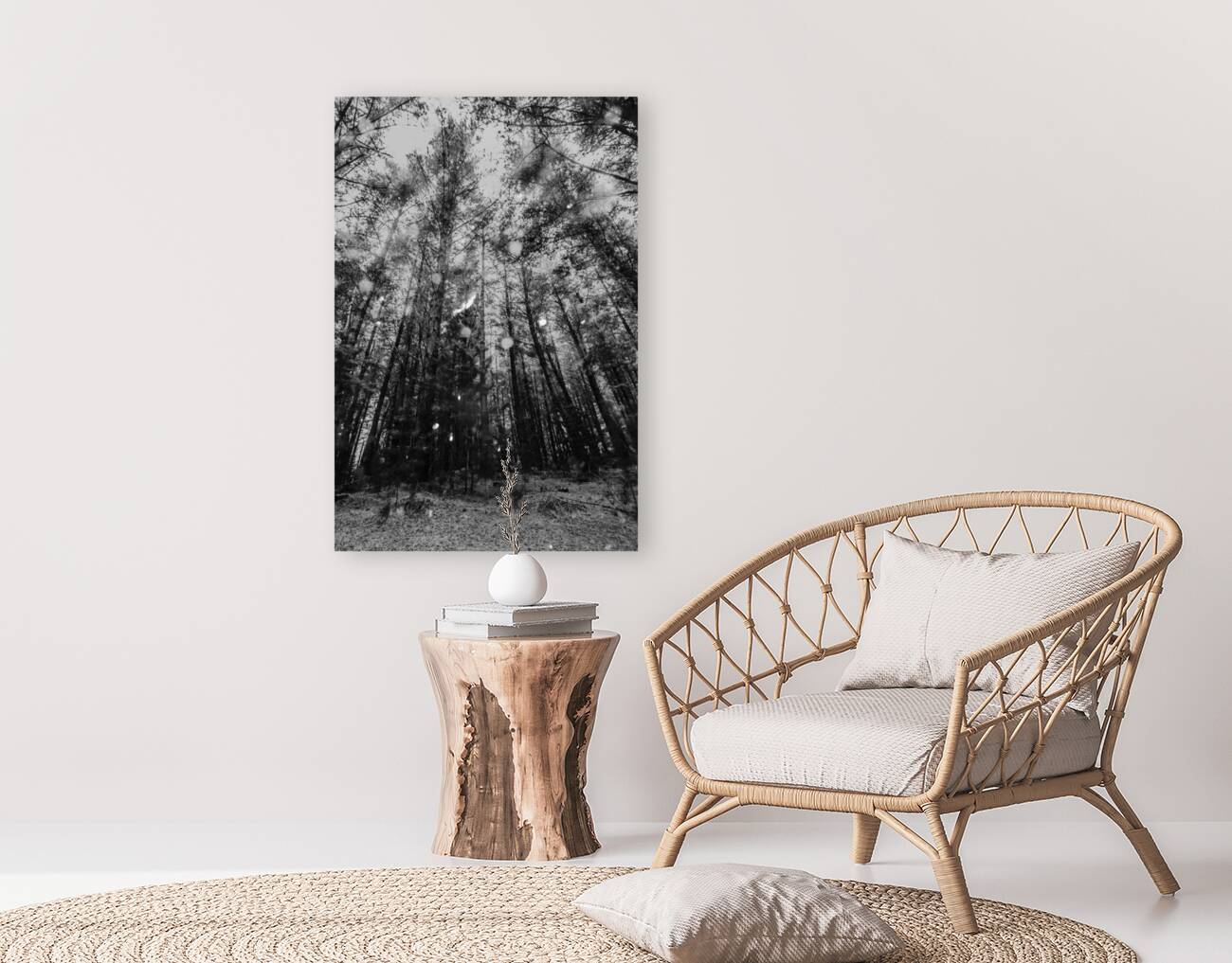 Reigning pines Reproduction