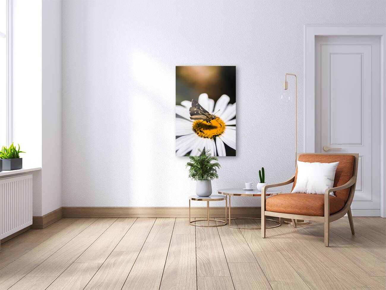 Moth insects on a bright and lush garden flower Reproduction