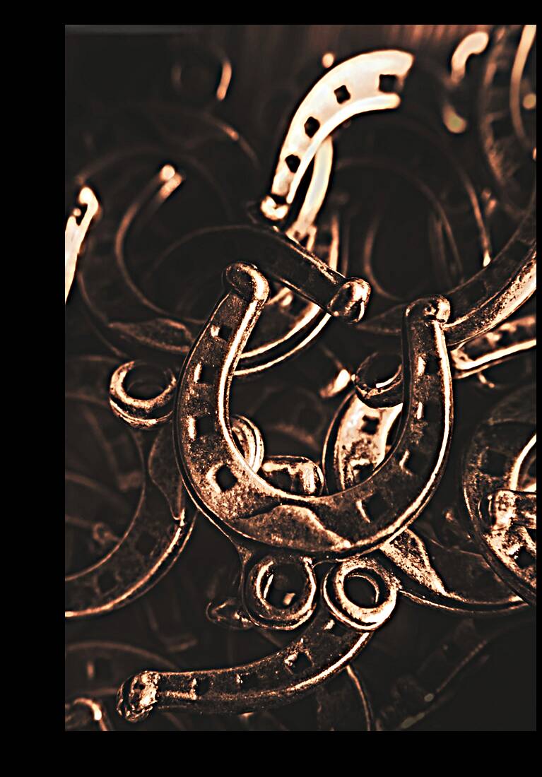 Rustic horse shoes Reproduction