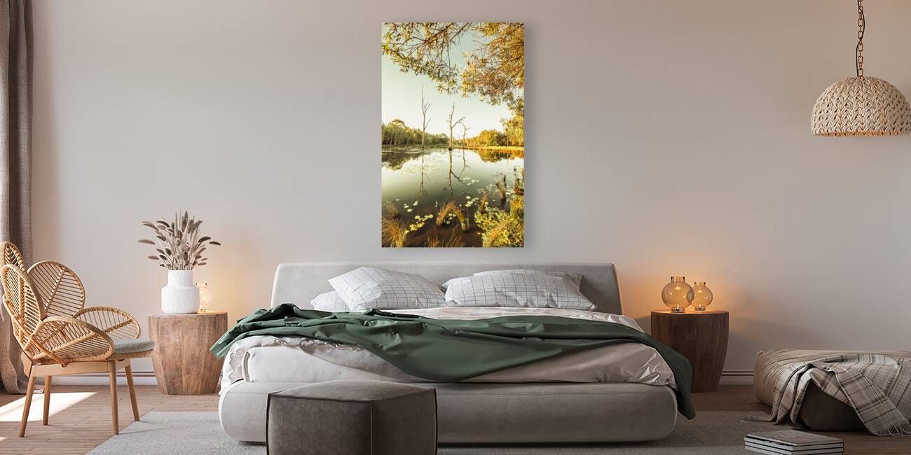 Still lake afternoon  Reproduction