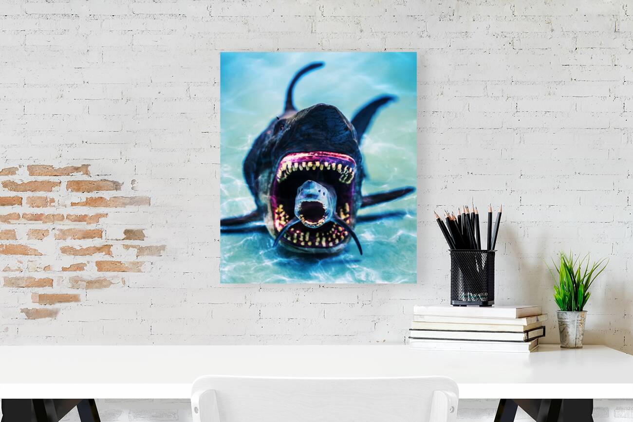 Deception Bay Reproduction