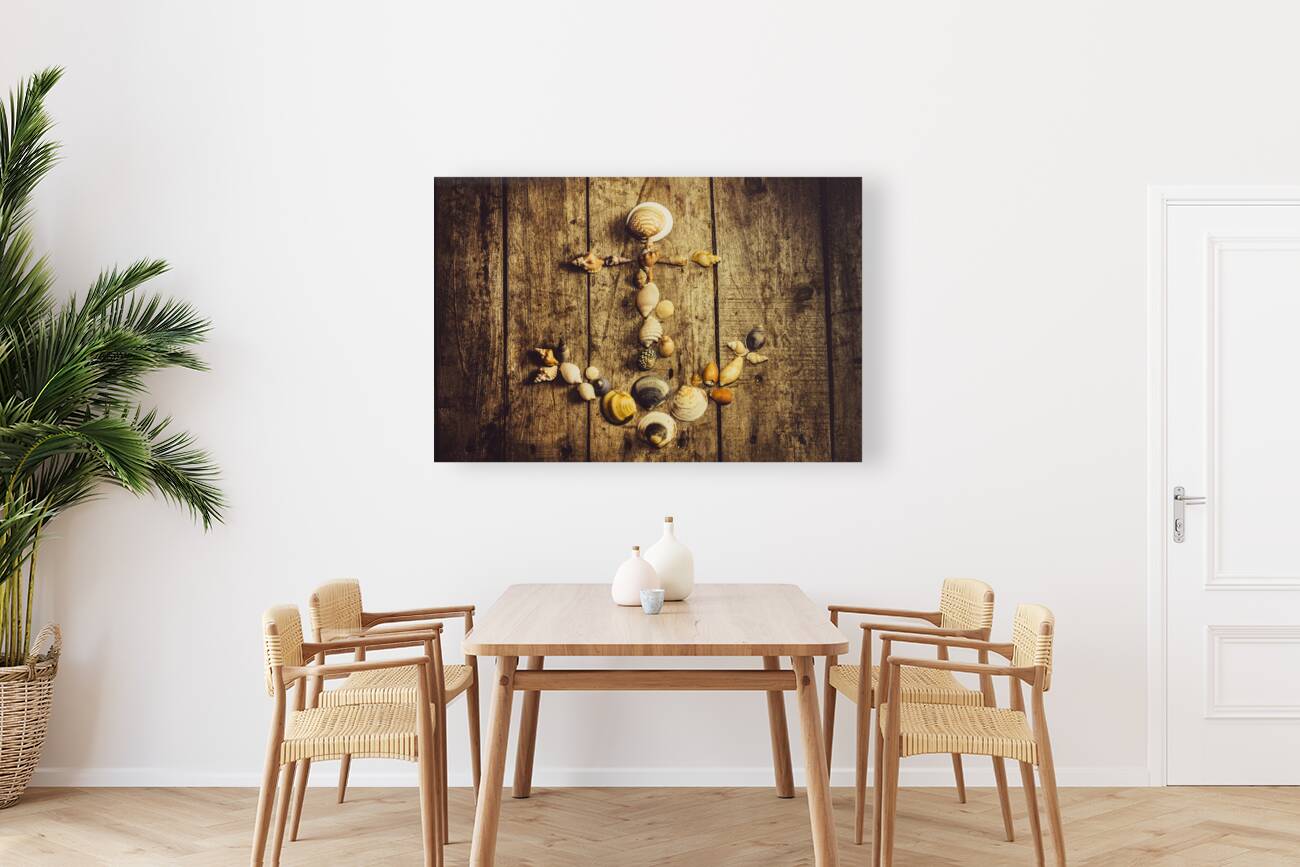 Shell n anchor Reproduction