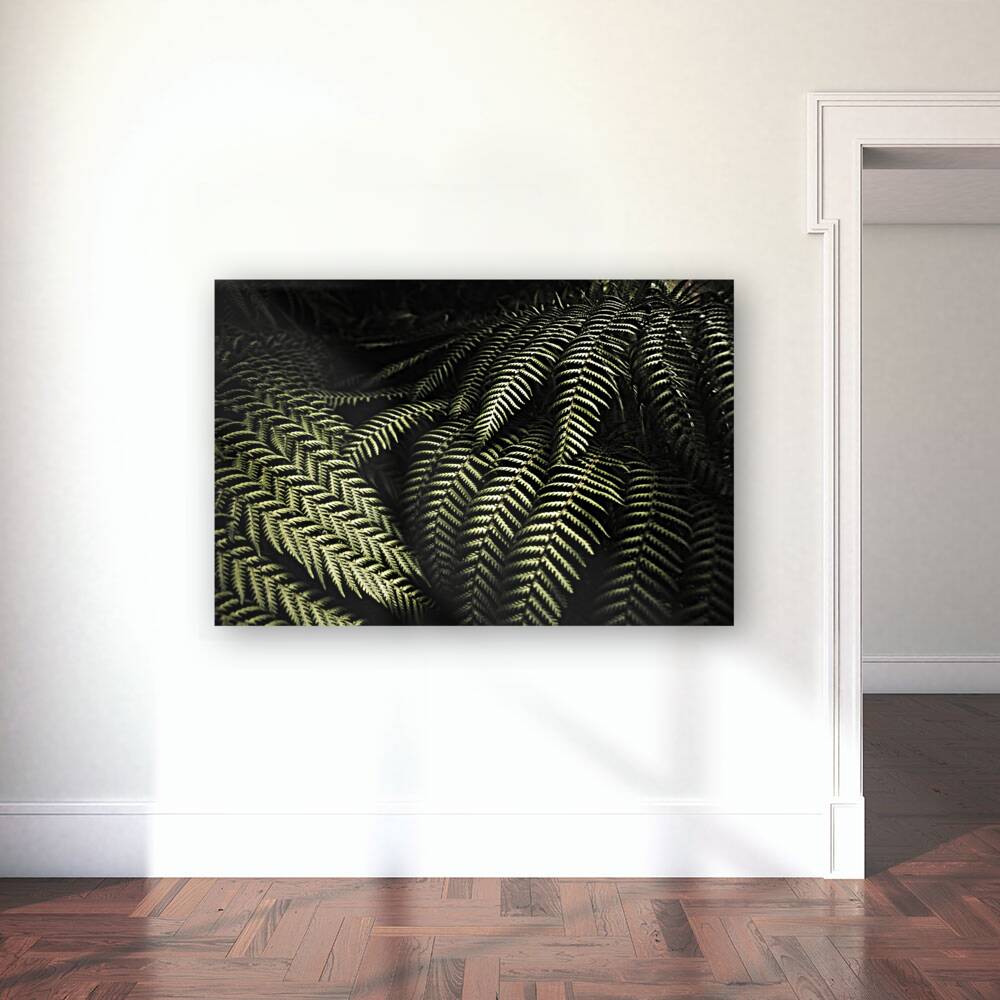 The exotic dark jungle Reproduction