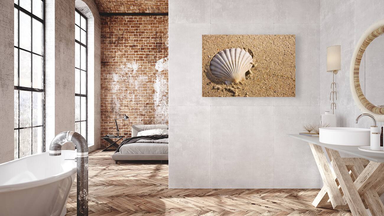 Sandy Shell Reproduction