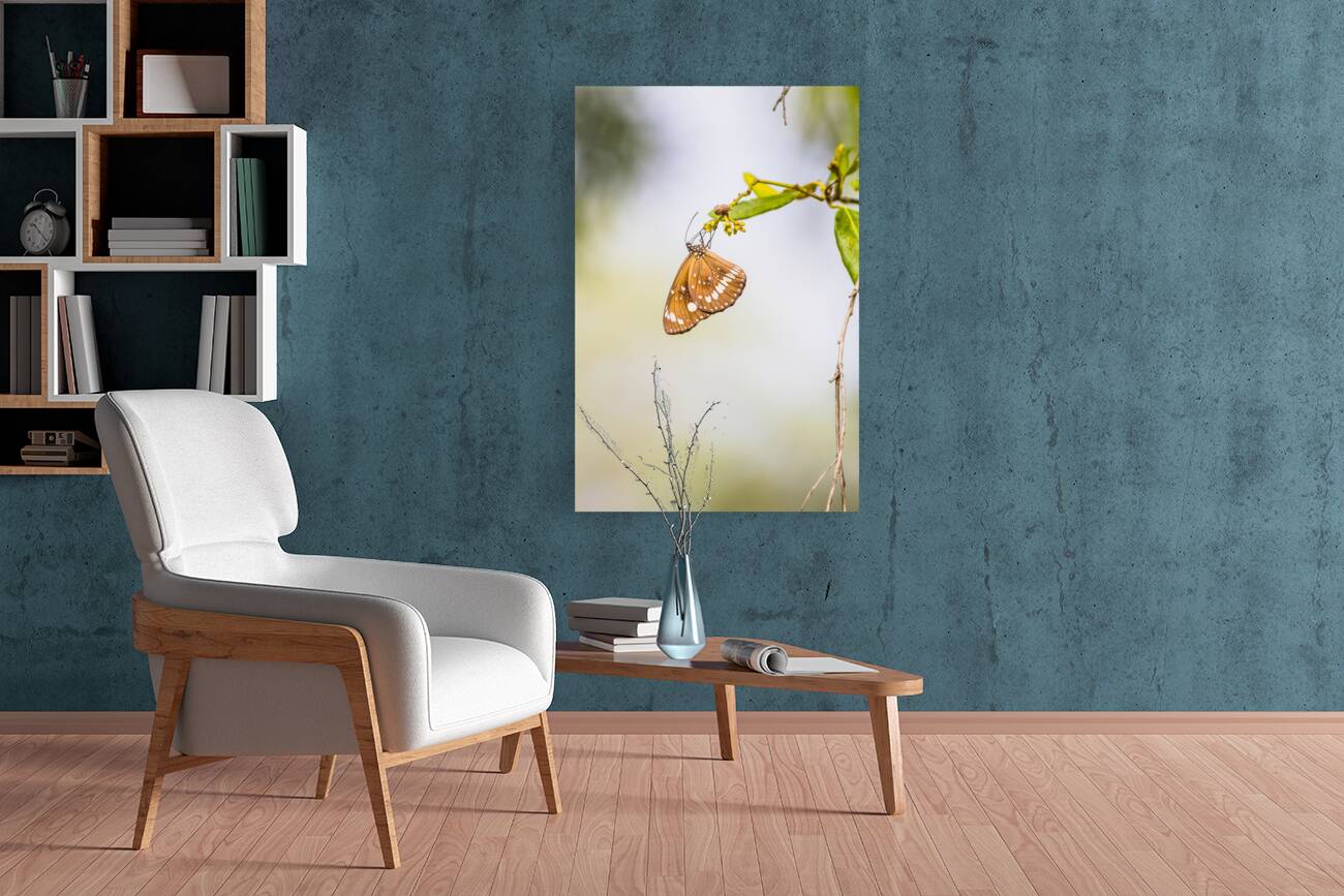 Wild simplicity Reproduction