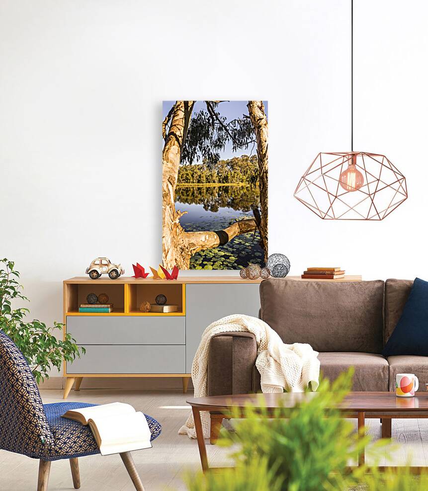 Framing stillness Reproduction