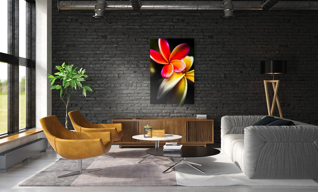 Touch of summer Reproduction