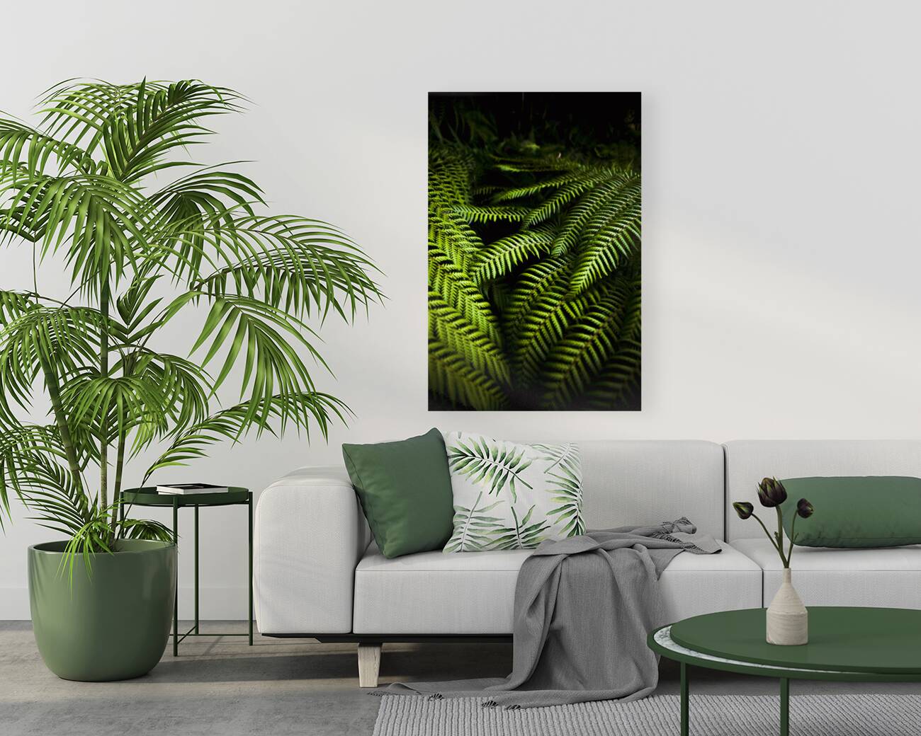Twilight rainforest fern  Reproduction
