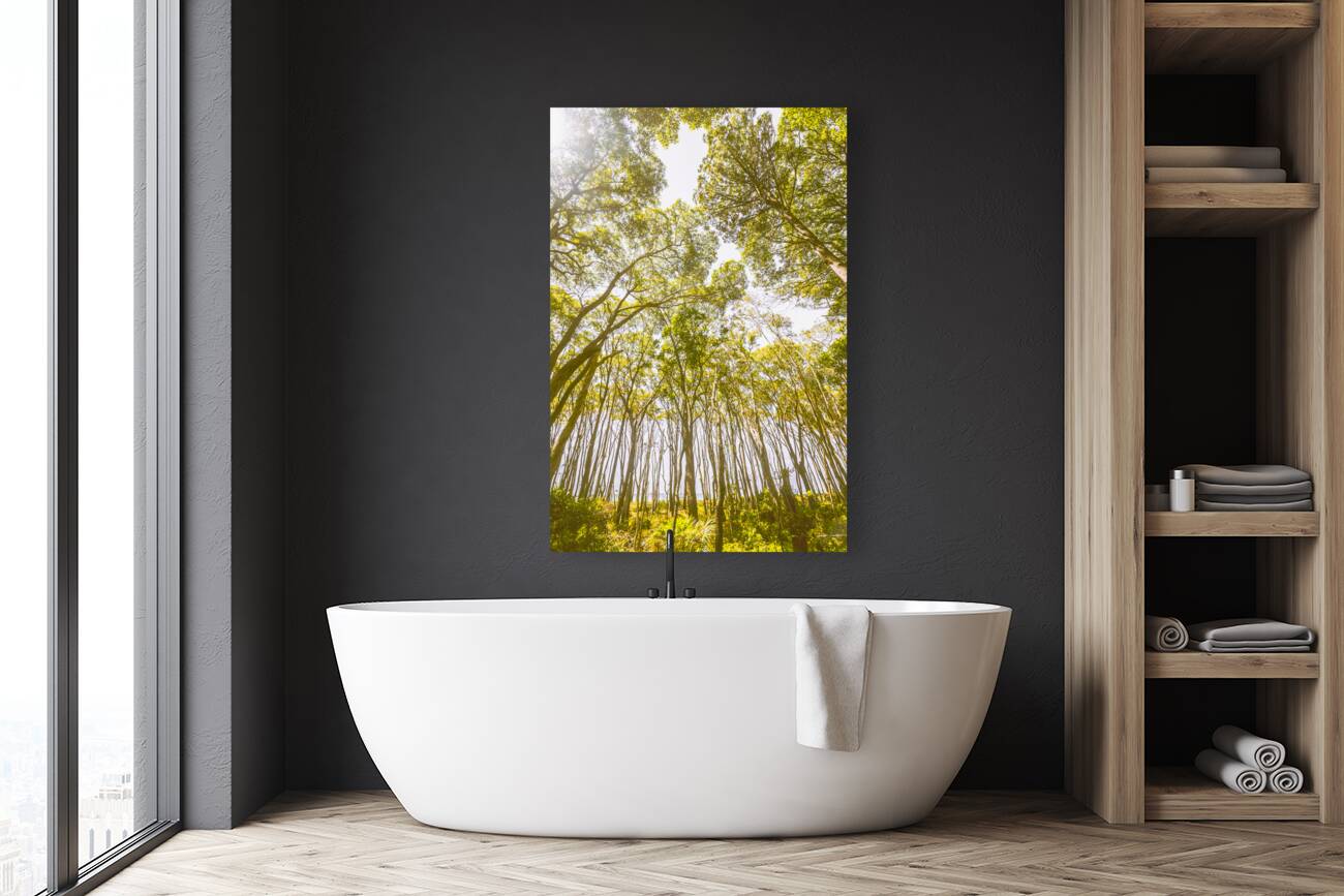 Open airs Reproduction