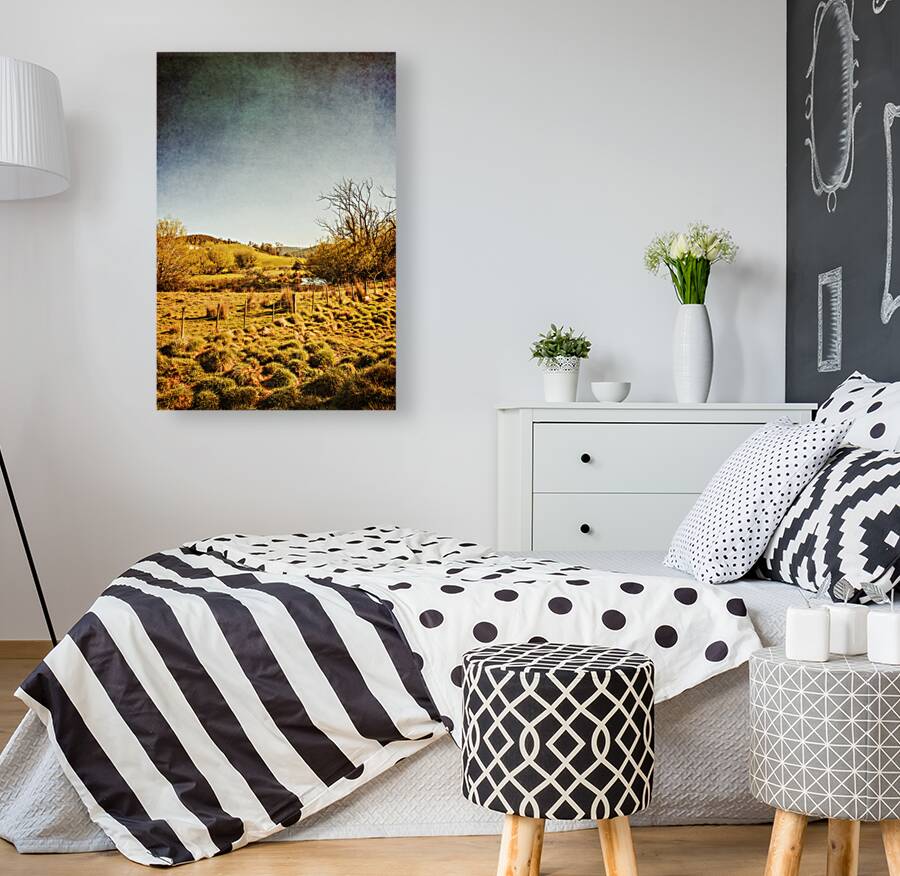 Rustic Pastoral Australia Reproduction