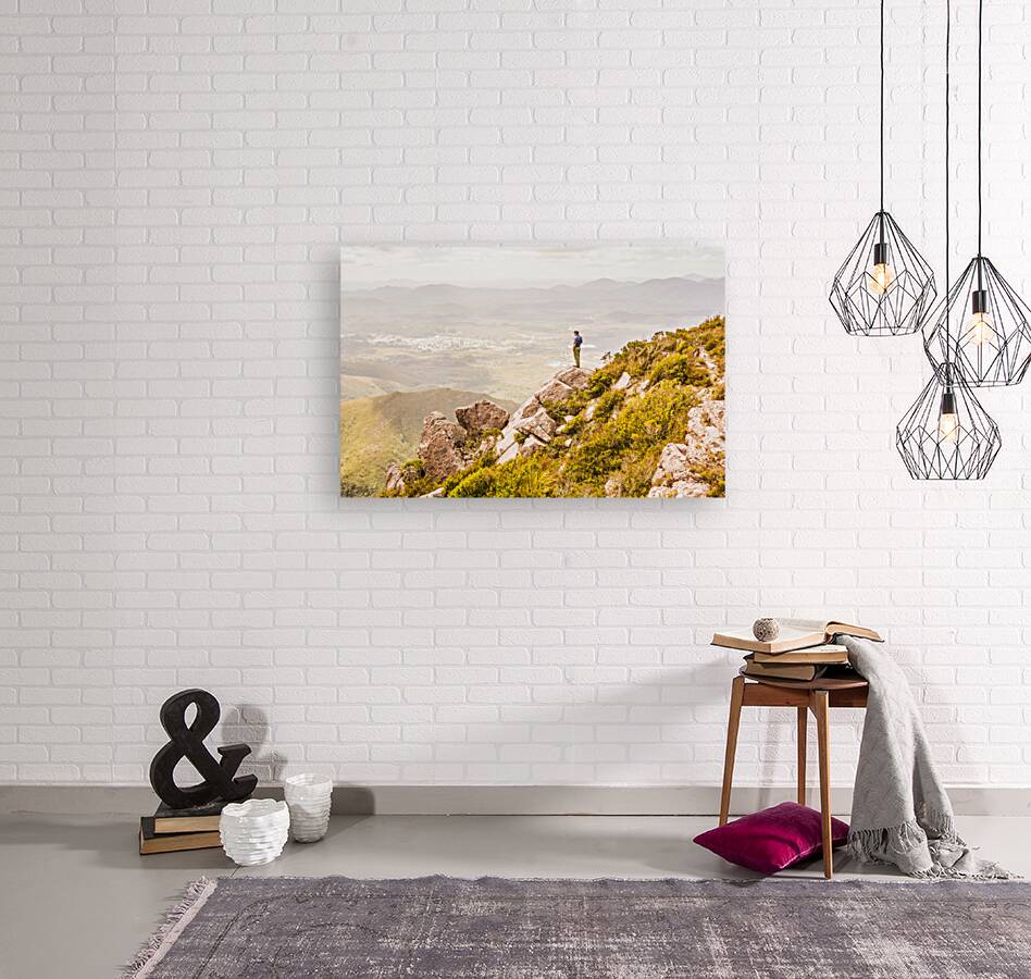 Views On West Coast Tasmania  Reproduction