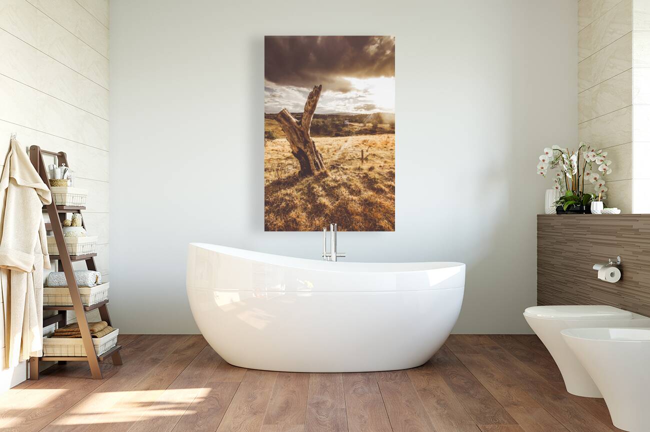 Arid Tasmania bush landscape Reproduction