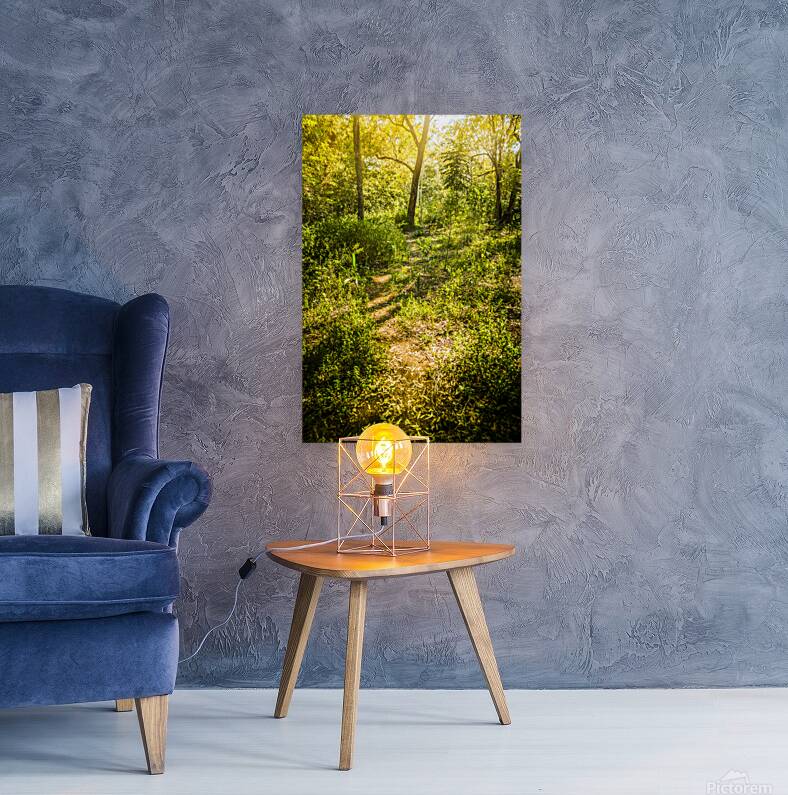 Forgotten forest Reproduction