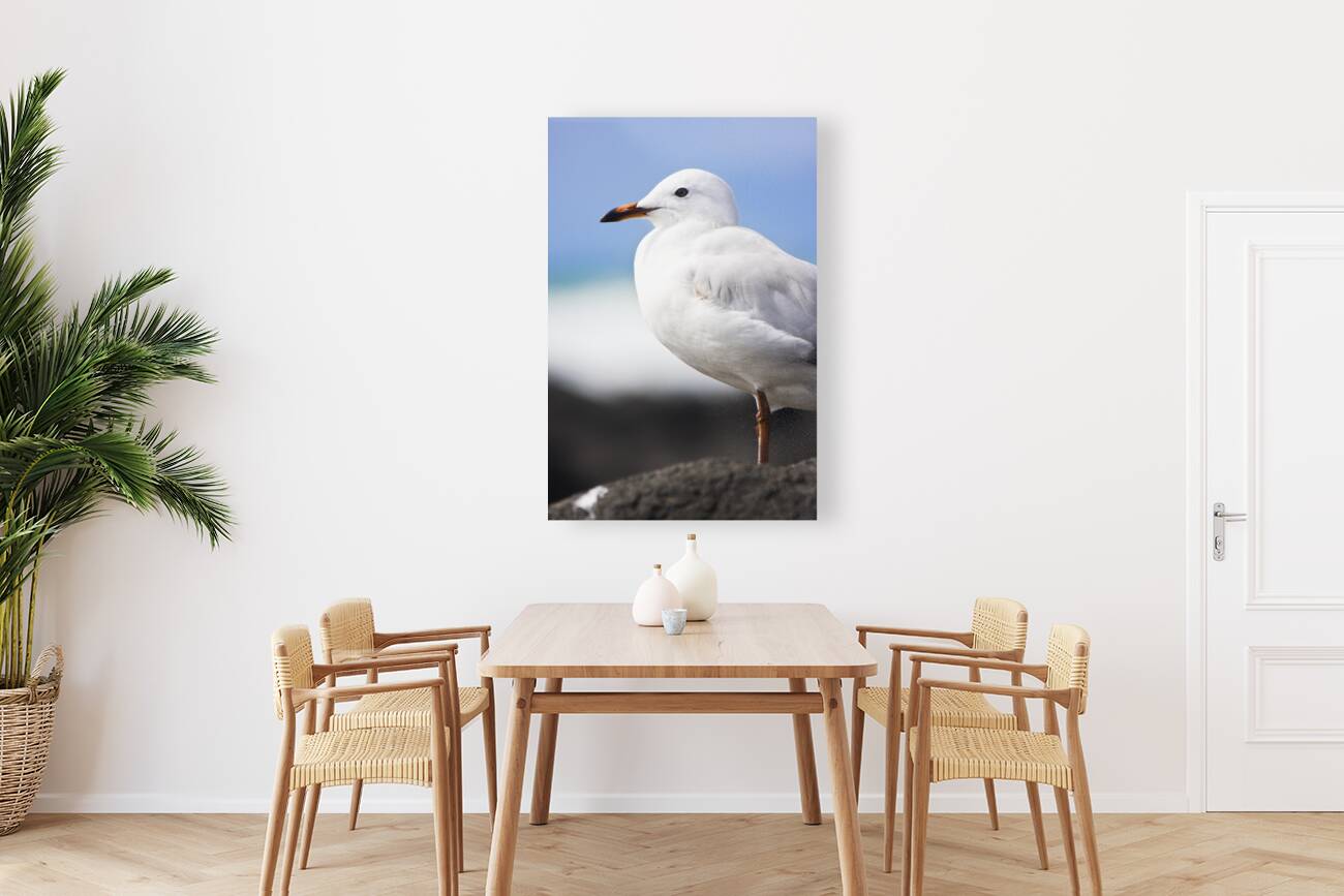 Ocean Bird Reproduction