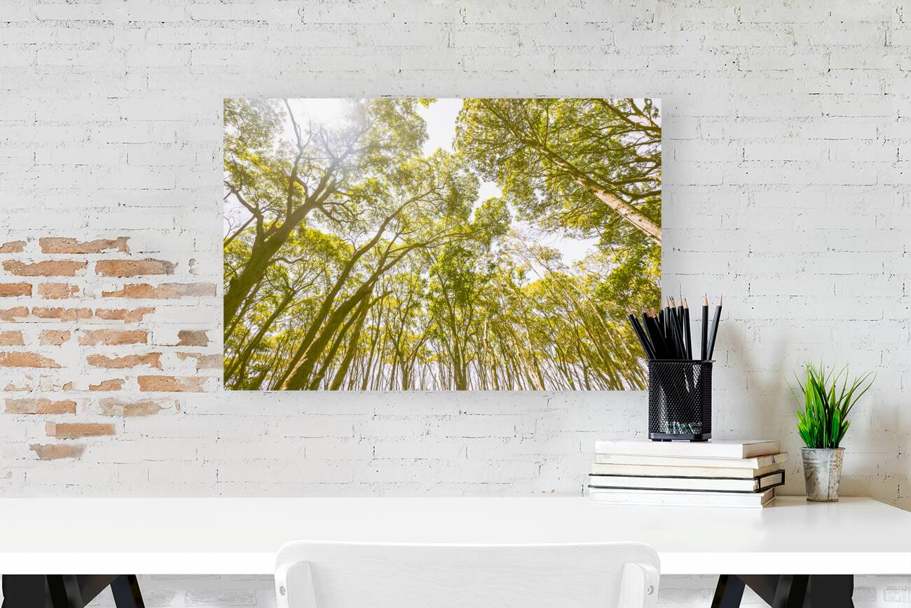 Country wide Reproduction